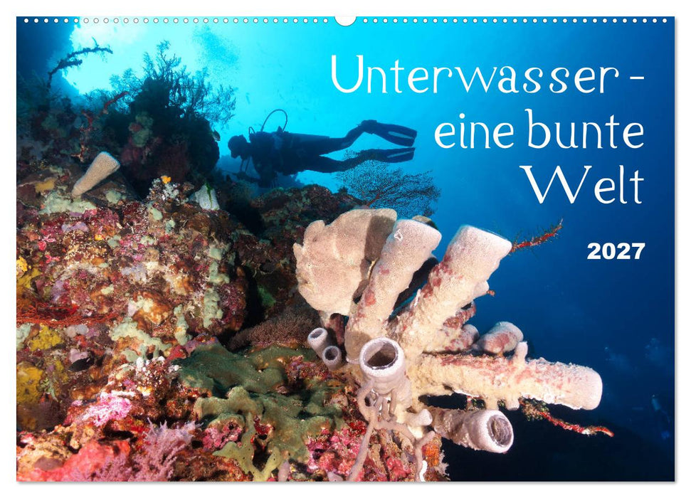 Unterwasser - eine bunte Welt (CALVENDO Wandkalender 2027)