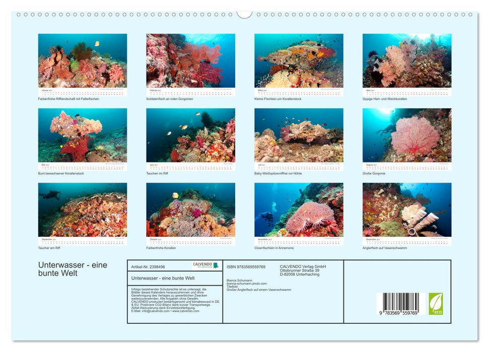 Unterwasser - eine bunte Welt (CALVENDO Wandkalender 2027)