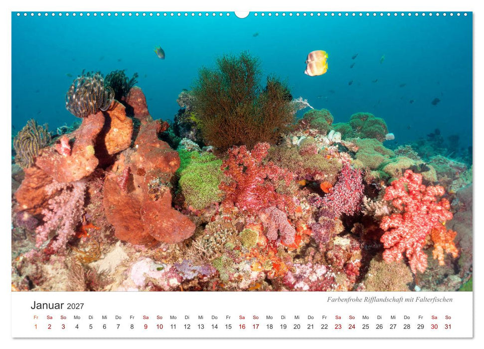Unterwasser - eine bunte Welt (CALVENDO Wandkalender 2027)