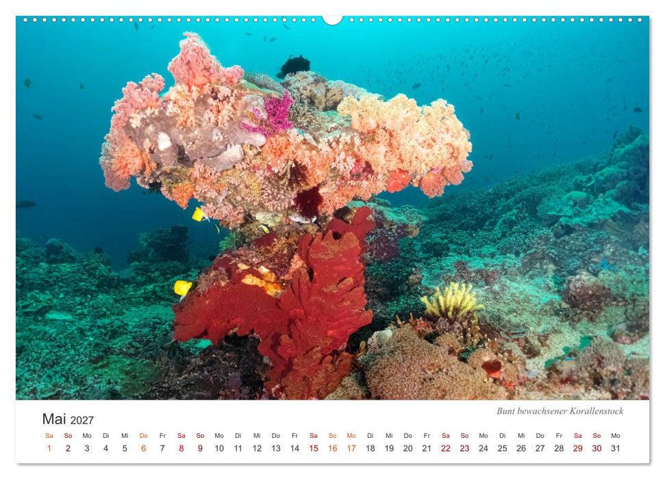 Unterwasser - eine bunte Welt (CALVENDO Wandkalender 2027)