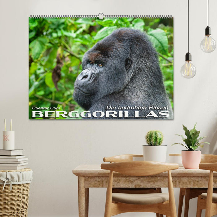 Berggorillas: die bedrohten Riesen (CALVENDO Wandkalender 2027)