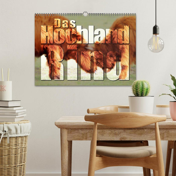 Das Hochlandrind (CALVENDO Wandkalender 2027)