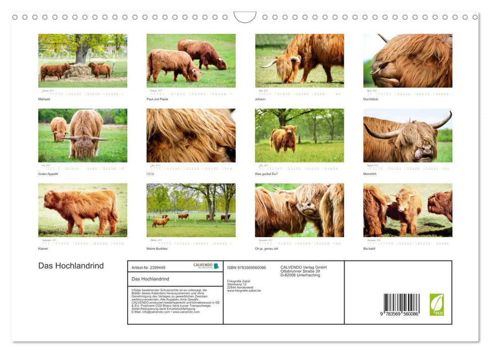 Das Hochlandrind (CALVENDO Wandkalender 2027)