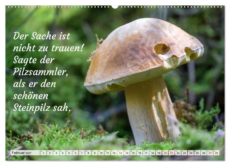 Junge, was hast du`s eilig (CALVENDO Premium Wandkalender 2027)