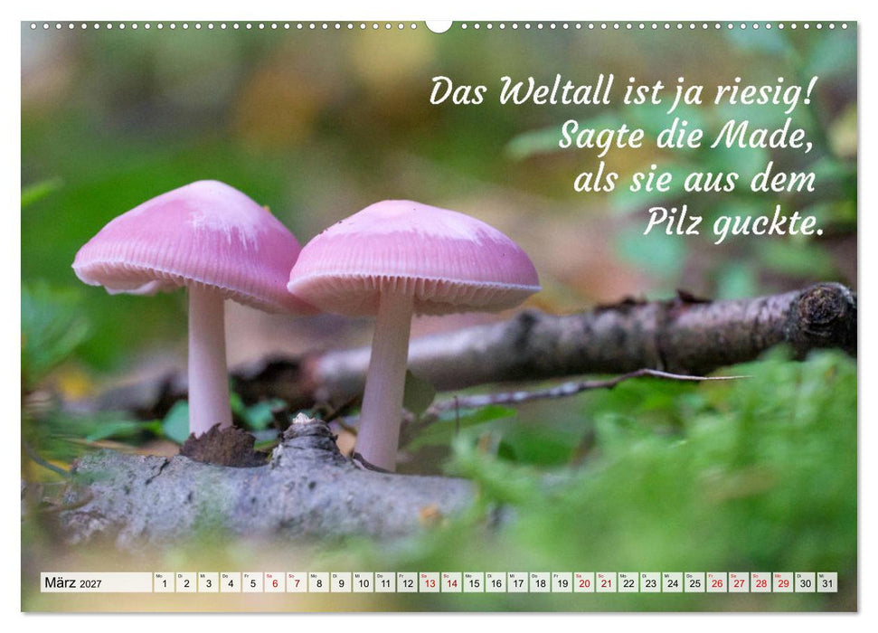 Junge, was hast du`s eilig (CALVENDO Premium Wandkalender 2027)