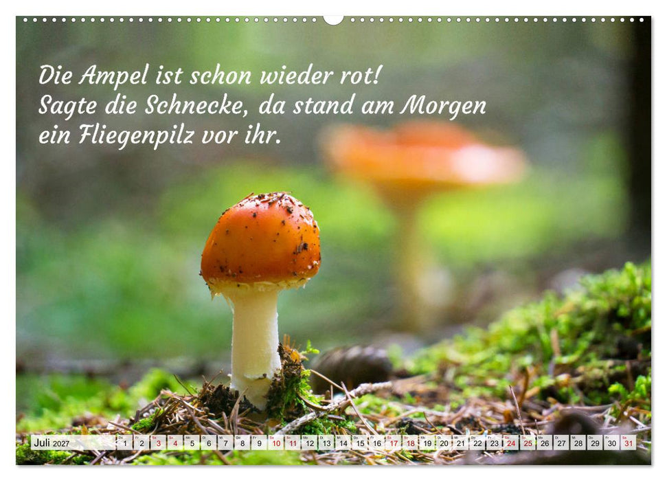 Junge, was hast du`s eilig (CALVENDO Premium Wandkalender 2027)