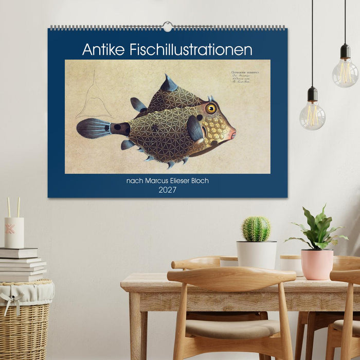 Antike Fischillustrationen nach Marcus Elieser Bloch (CALVENDO Wandkalender 2027)