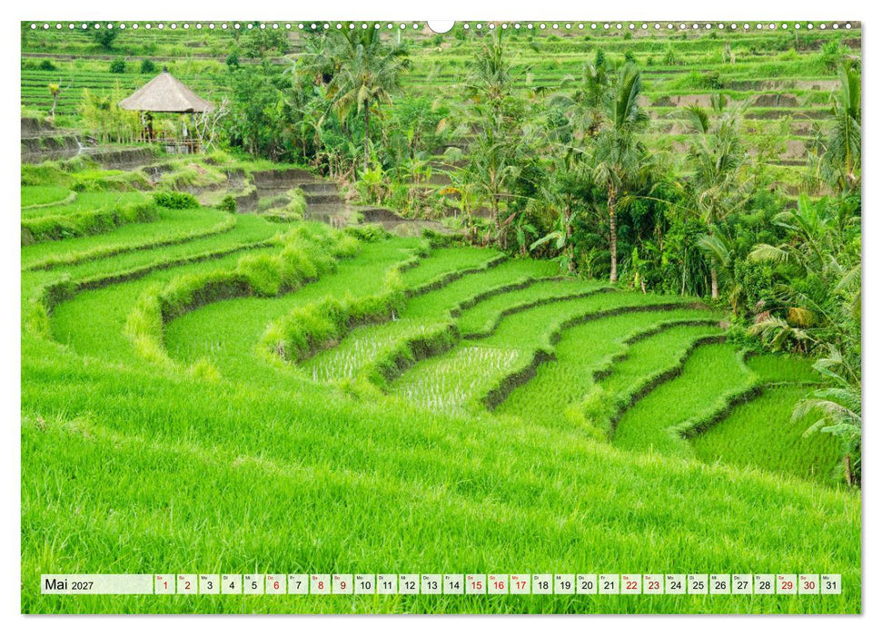 Sehnsucht nach Bali (CALVENDO Premium Wandkalender 2027)