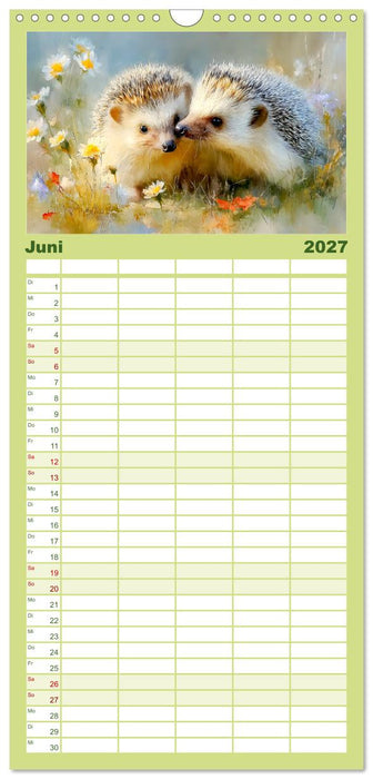 Igel. Kleine Glücksbringer im Garten (CALVENDO Familienplaner 2027)