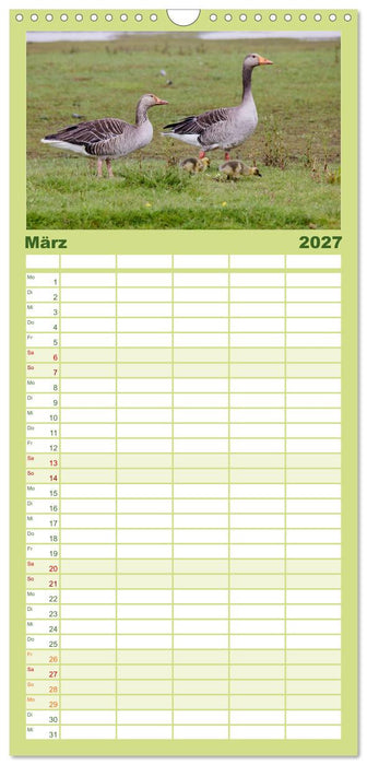 Halbinsel Eiderstedt - Momente der Natur (CALVENDO Familienplaner 2027)