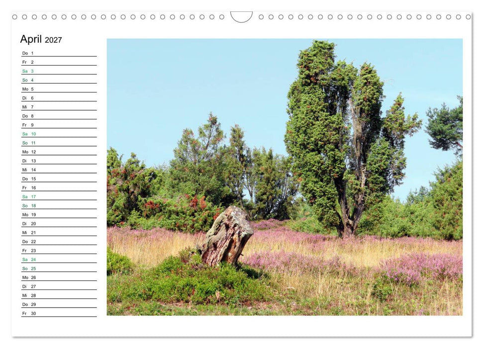Landschaften in der Eifel (CALVENDO Wandkalender 2027)