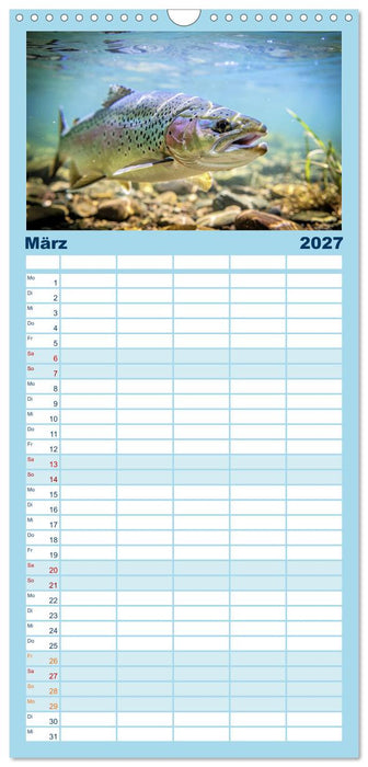 Forellen im Fluss (CALVENDO Familienplaner 2027)