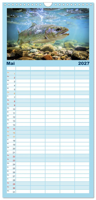 Forellen im Fluss (CALVENDO Familienplaner 2027)