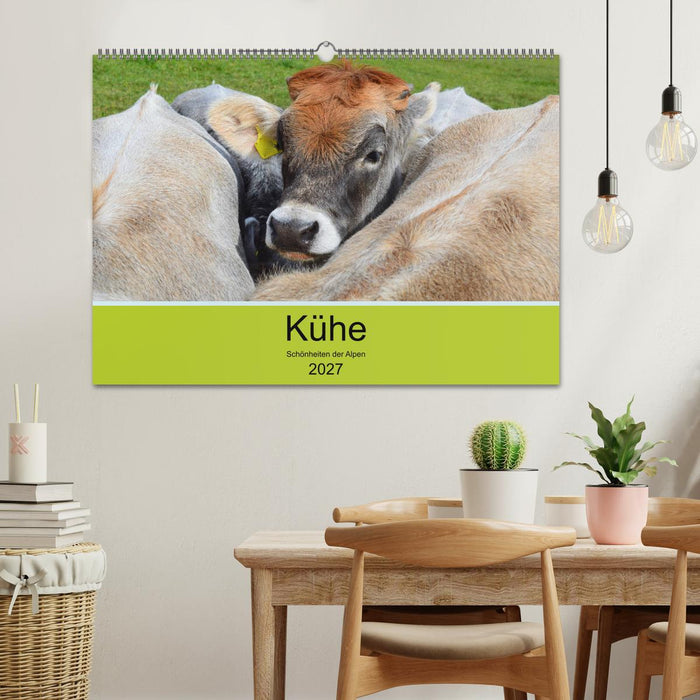 Kühe - Schönheiten der Alpen (CALVENDO Wandkalender 2027)