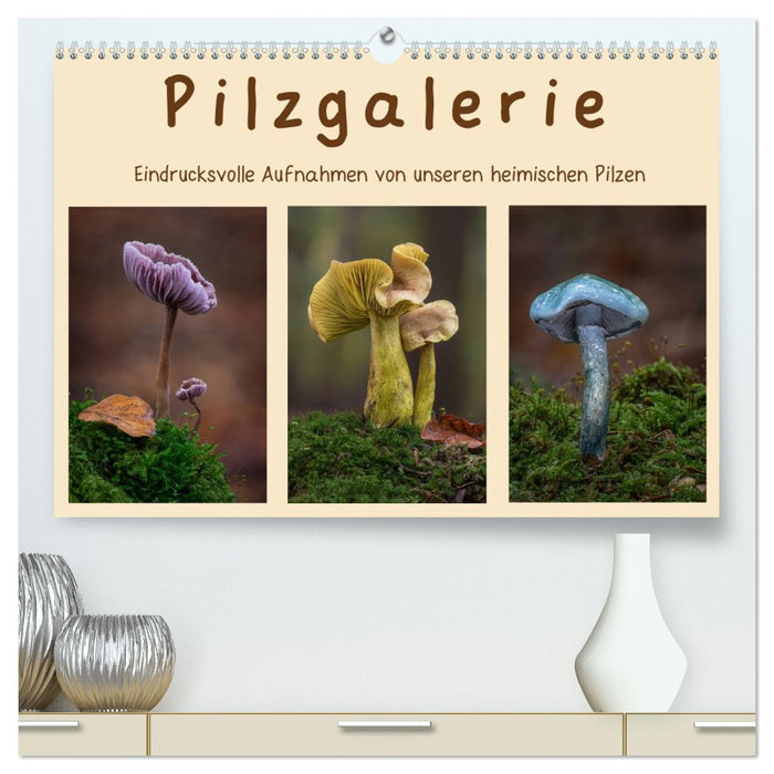 Pilzgalerie - Eindrucksvolle Aufnahmen von unseren heimischen Pilzen (CALVENDO Premium Wandkalender 2027)