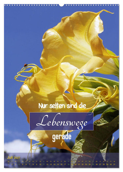 Lebensfreude in harten Zeiten (CALVENDO Premium Wandkalender 2027)