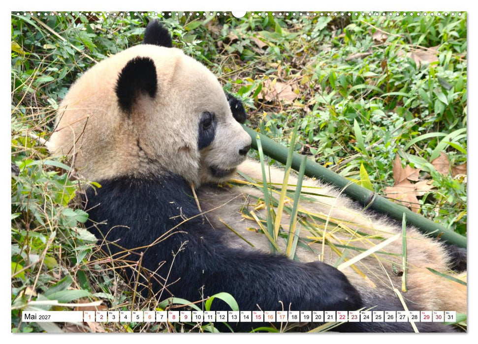 Märchenhaftes China (CALVENDO Premium Wandkalender 2027)