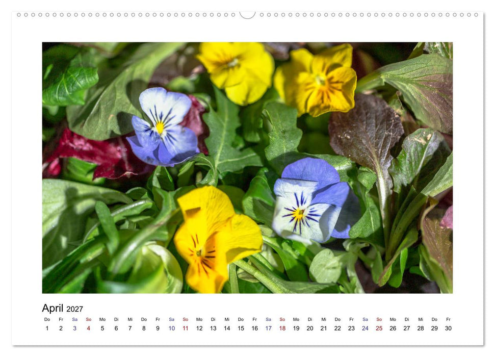Wochenmarkt - Genussvoll Einkaufen (CALVENDO Wandkalender 2027)