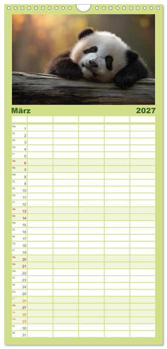 Panda Magie (CALVENDO Familienplaner 2027)