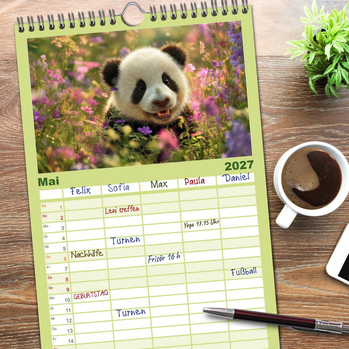 Panda Magie (CALVENDO Familienplaner 2027)