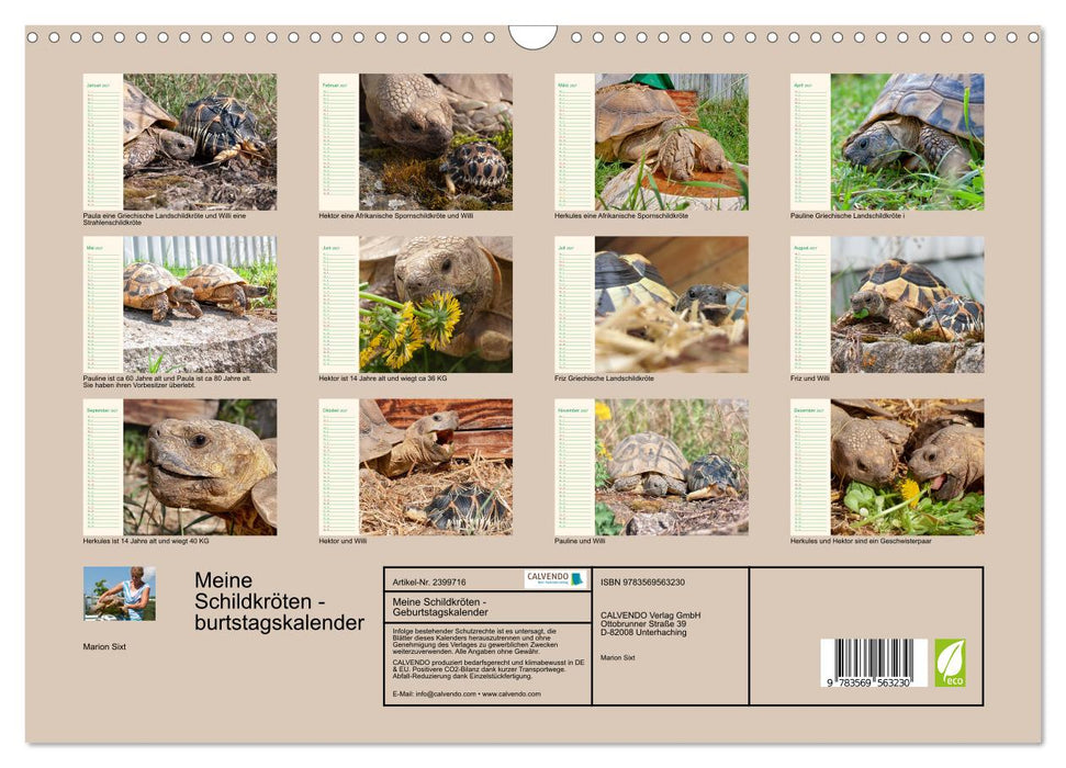 Meine Schildkröten - Geburtstagskalender (CALVENDO Wandkalender 2027)