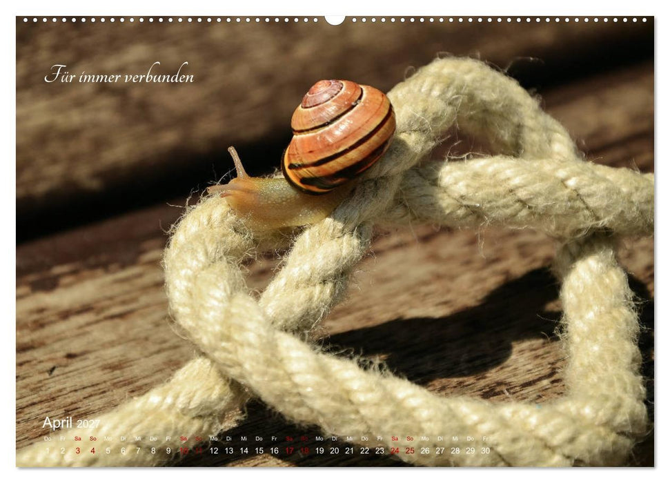 Emotionale Herzensdinge (CALVENDO Premium Wandkalender 2027)