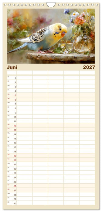Wellensittiche. Fröhliche Seelen auf der Terrasse (CALVENDO Familienplaner 2027)