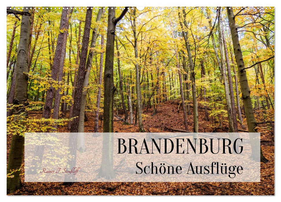 Brandenburg Schöne Ausflüge (CALVENDO Wandkalender 2027)