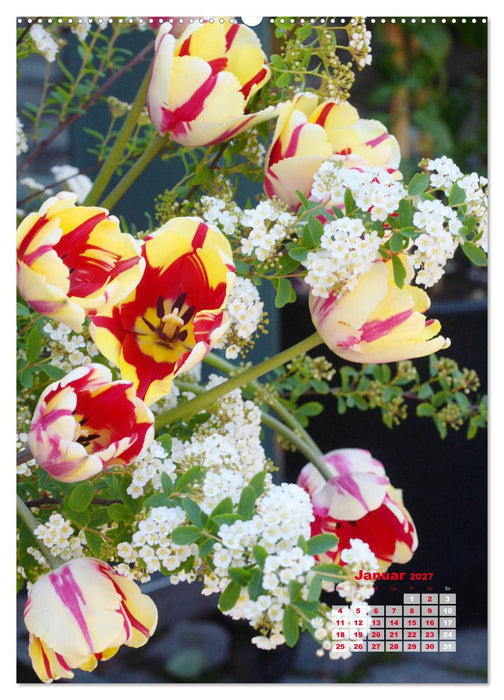 Ein buntes Tulpenjahr (CALVENDO Wandkalender 2027)