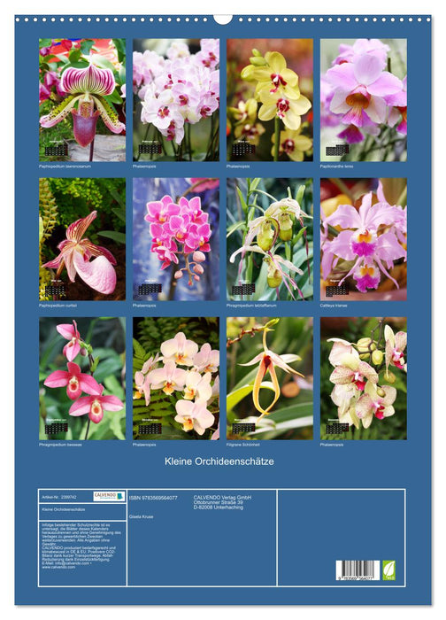 Kleine Orchideenschätze (CALVENDO Wandkalender 2027)