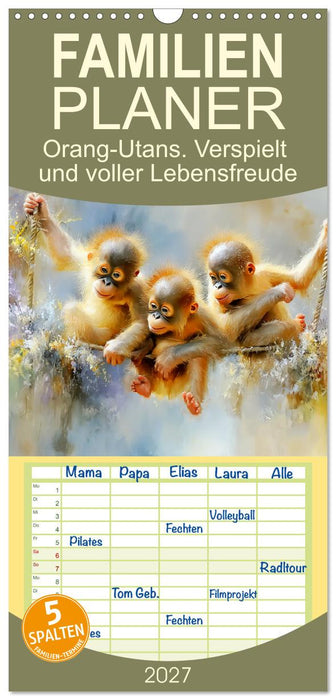 Orang-Utans. Verspielt und voller Lebensfreude (CALVENDO Familienplaner 2027)
