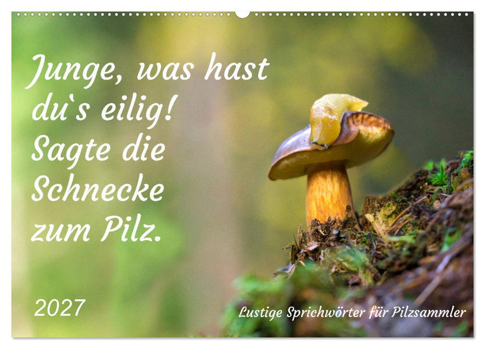 Junge, was hast du`s eilig (CALVENDO Wandkalender 2027)