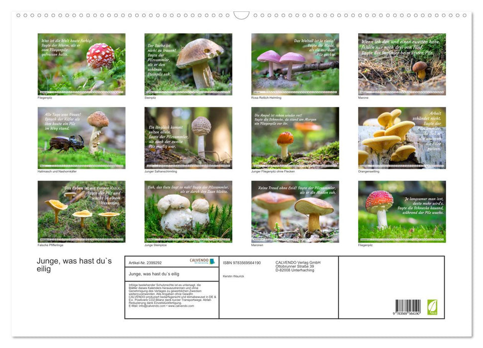 Junge, was hast du`s eilig (CALVENDO Wandkalender 2027)