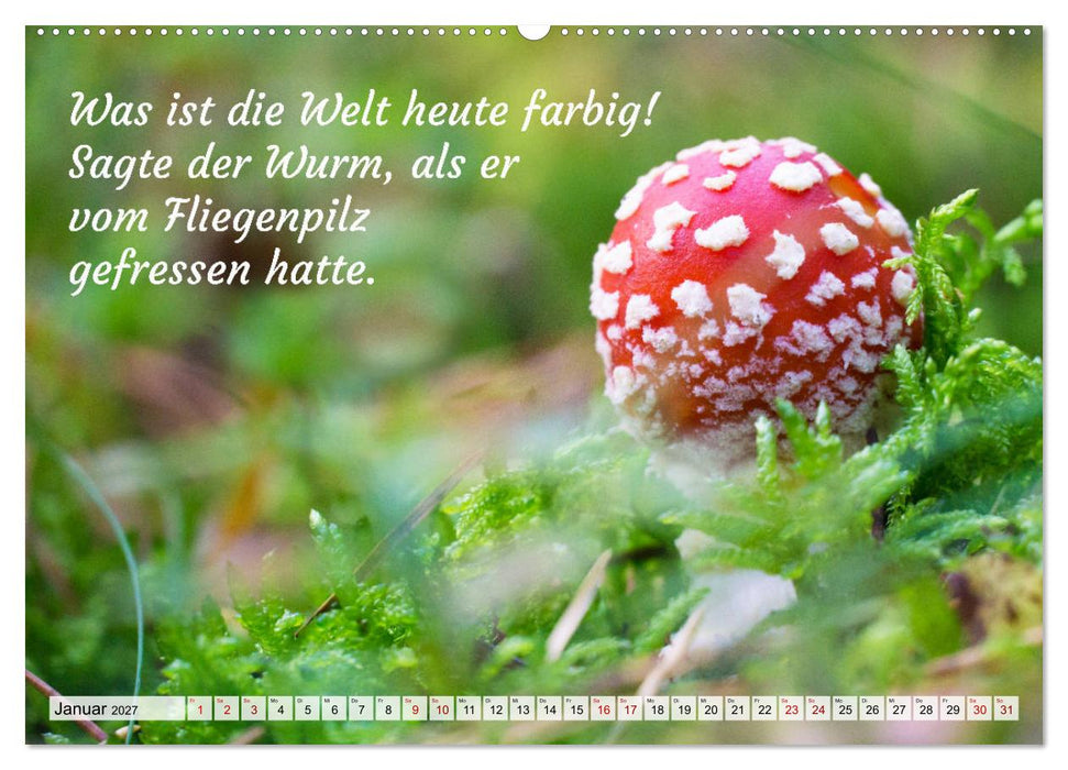 Junge, was hast du`s eilig (CALVENDO Wandkalender 2027)