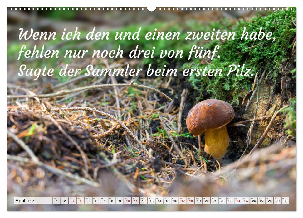 Junge, was hast du`s eilig (CALVENDO Wandkalender 2027)