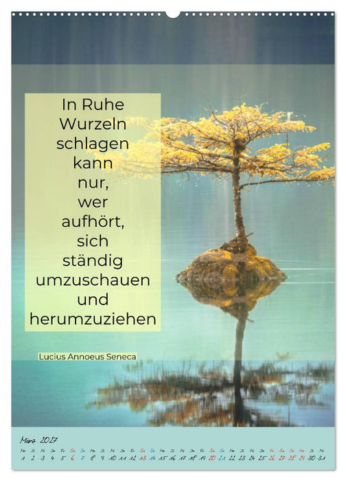 Aktiviere deine Gelassenheit Weisheiten und Zitate (CALVENDO Premium Wandkalender 2027)