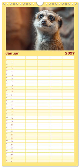 Die Welt der Erdmännchen (CALVENDO Familienplaner 2027)