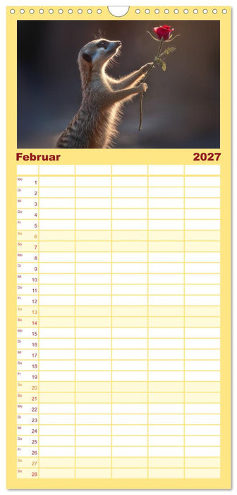 Die Welt der Erdmännchen (CALVENDO Familienplaner 2027)