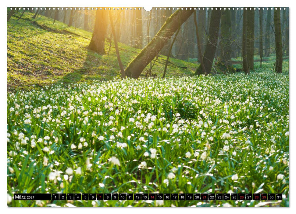 Jena und Umgebung - Von Jena bis Dornburg (CALVENDO Premium Wandkalender 2027)