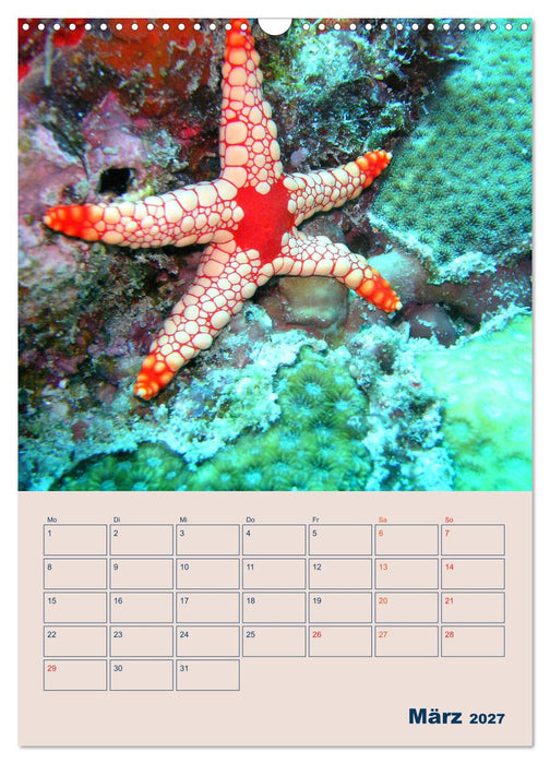 Mahe - Inselparadies der Seychellen (CALVENDO Wandkalender 2027)