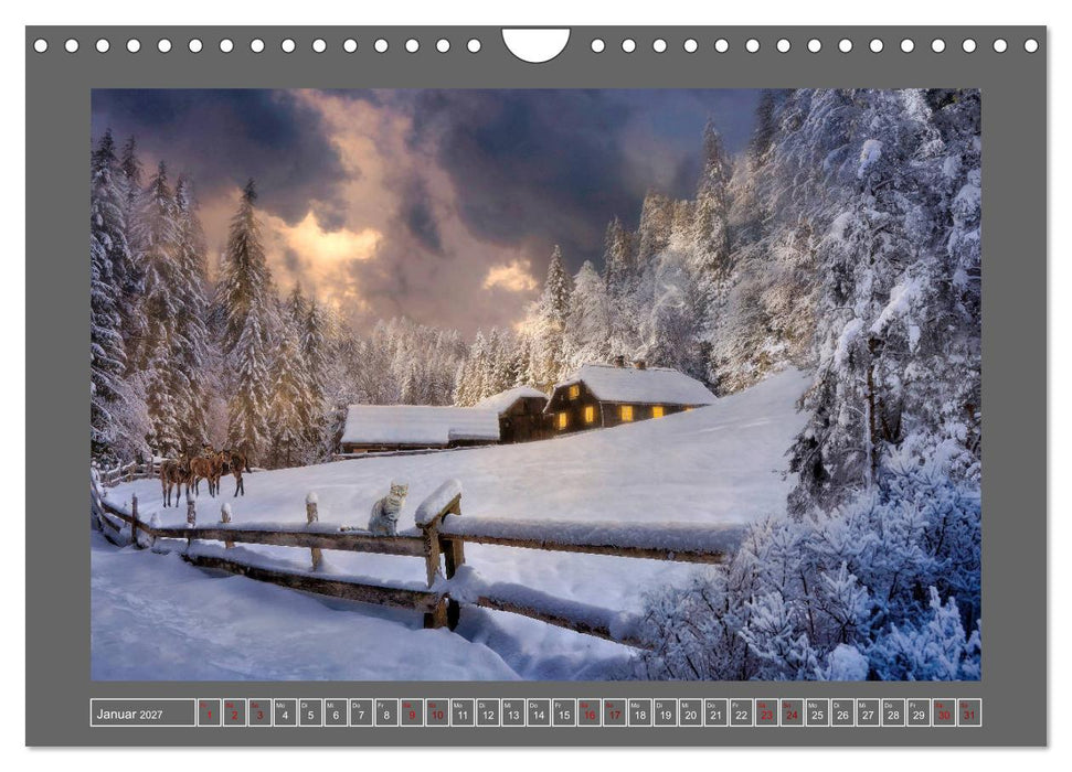 Zufluchten (CALVENDO Wandkalender 2027)