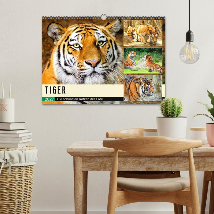 Tiger. Die schönsten Katzen der Erde (CALVENDO Wandkalender 2027)
