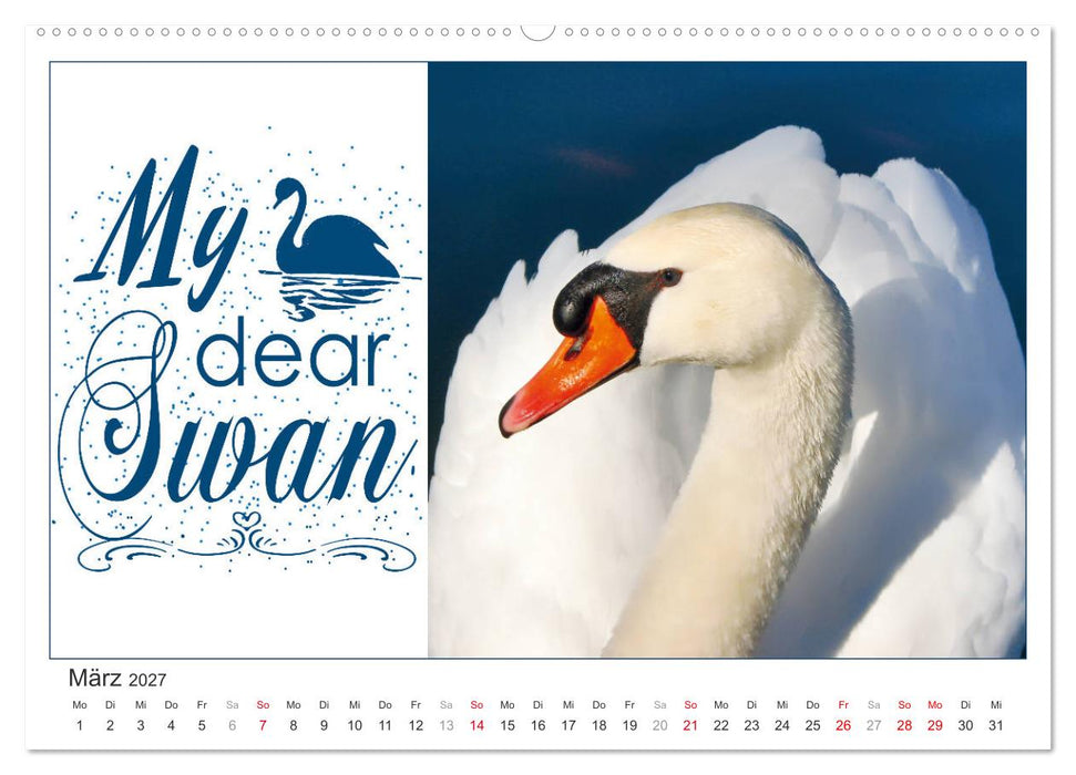 Tierisch Denglisch (CALVENDO Premium Wandkalender 2027)