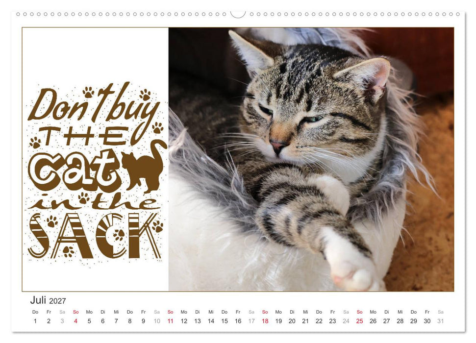 Tierisch Denglisch (CALVENDO Premium Wandkalender 2027)