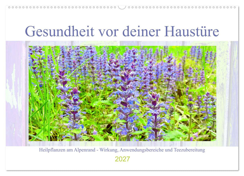 Gesundheit vor deiner Haustüre - Heilpflanzen am Alpenrand - Wirkung, Anwendungsbereiche und Teezubereitung (CALVENDO Wandkalender 2027)