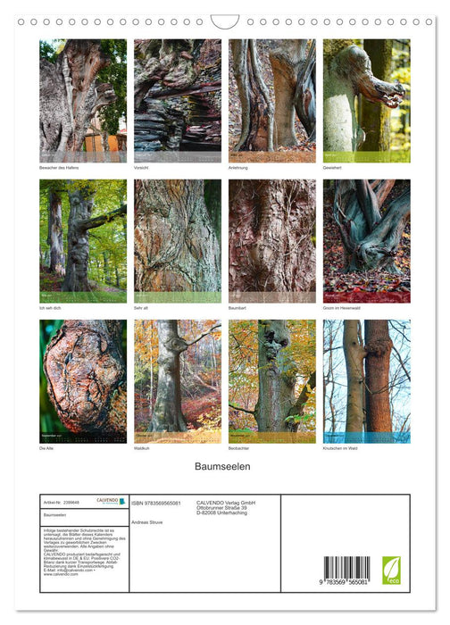 Baumseelen (CALVENDO Wandkalender 2027)