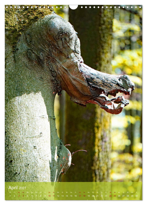 Baumseelen (CALVENDO Wandkalender 2027)