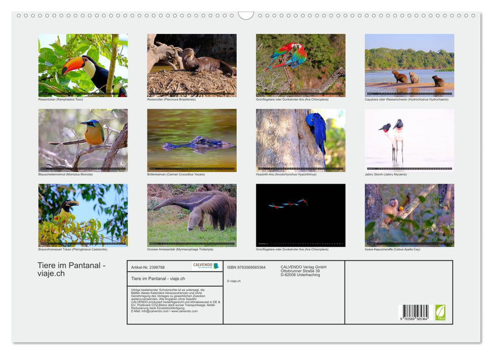 Tiere im Pantanal - Viaje (CALVENDO Wandkalender 2027)