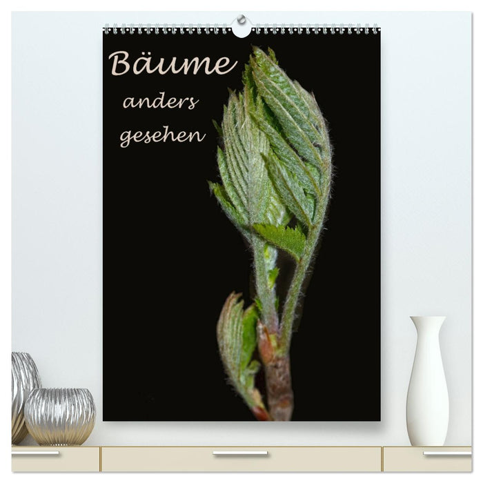 Bäume anders gesehen (CALVENDO Premium Wandkalender 2027)