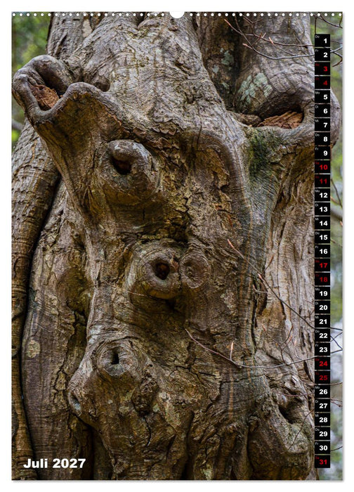 Bäume anders gesehen (CALVENDO Premium Wandkalender 2027)
